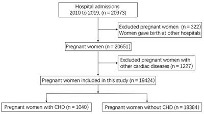 Pregnancy Complications and Outcomes Among Women With Congenital Heart Disease in Beijing, China